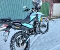 Шанрай VXR 300, об'ємом двигуна 0.3 л та пробігом 0 тис. км за 1600 $, фото 2 на Automoto.ua