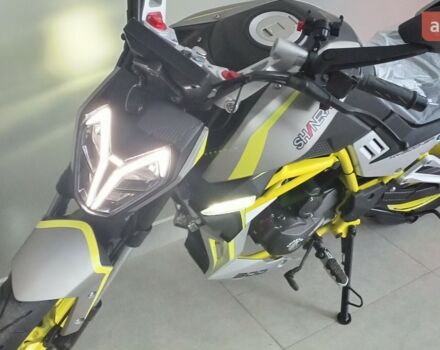 купити нове авто Шанрай VXR 300 2024 року від офіційного дилера MotoHub Шанрай фото