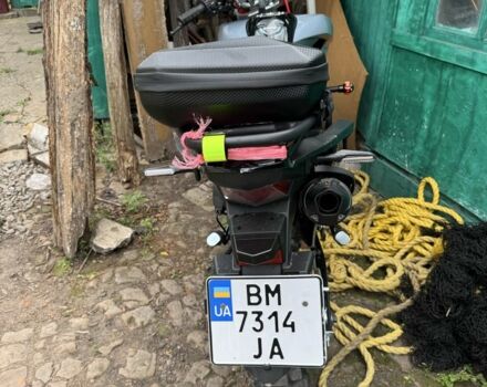 Шанрай VXR 300, об'ємом двигуна 0.27 л та пробігом 0 тис. км за 1350 $, фото 4 на Automoto.ua