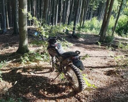 Шанрай X-Trail 200, объемом двигателя 0 л и пробегом 200 тыс. км за 606 $, фото 3 на Automoto.ua