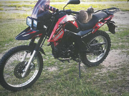 Шанрай X-Trail 200 2019 у Сарнах на Automoto.ua Шанрай X-Trail 200, об'ємом двигуна 0.2 л та пробігом 8 тис. км за 950 $, фото 1 на Automoto.ua
