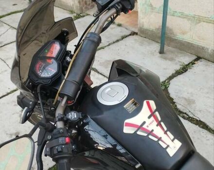 Черный Шанрай X-Trail 250, объемом двигателя 0 л и пробегом 2 тыс. км за 1499 $, фото 11 на Automoto.ua