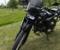Черный Шанрай X-Trail 250, объемом двигателя 0.25 л и пробегом 6 тыс. км за 1420 $, фото 6 на Automoto.ua