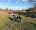 Шанрай X-Trail 250, объемом двигателя 0.25 л и пробегом 0 тыс. км за 950 $, фото 8 на Automoto.ua