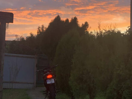 Черный Шанрай XY-250 GY-7 (X6), объемом двигателя 0.25 л и пробегом 8 тыс. км за 1463 $, фото 1 на Automoto.ua