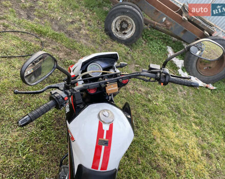 Білий Шанрай XY250GY-6С, об'ємом двигуна 0.23 л та пробігом 6 тис. км за 1300 $, фото 2 на Automoto.ua