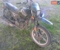 Зелений Шанрай XY 200 Intruder, об'ємом двигуна 0.2 л та пробігом 15 тис. км за 350 $, фото 2 на Automoto.ua
