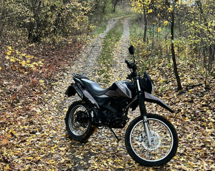 Коричневый Шанрай XY 250GY-6C, объемом двигателя 0.25 л и пробегом 4 тыс. км за 1400 $, фото 1 на Automoto.ua