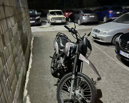 Коричневый Шанрай XY 250GY-6C, объемом двигателя 0.25 л и пробегом 4 тыс. км за 1400 $, фото 6 на Automoto.ua