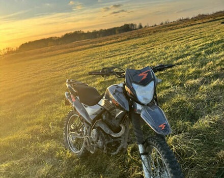 Коричневий Шанрай XY 250GY-6C, об'ємом двигуна 0.25 л та пробігом 8 тис. км за 800 $, фото 11 на Automoto.ua