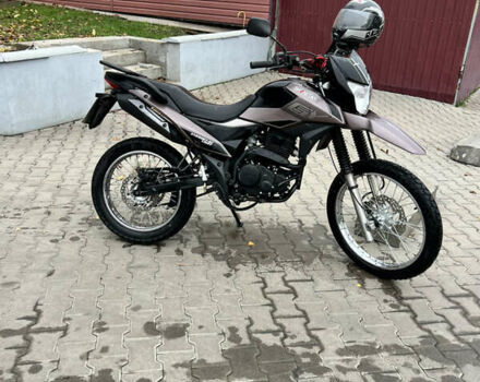 Коричневый Шанрай XY 250GY-6C, объемом двигателя 0.25 л и пробегом 4 тыс. км за 1400 $, фото 4 на Automoto.ua