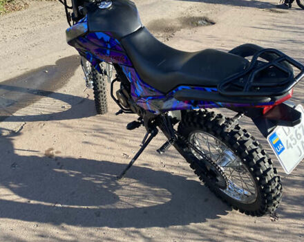 Шанрай XY 250GY-6C, объемом двигателя 0.25 л и пробегом 18 тыс. км за 1000 $, фото 3 на Automoto.ua