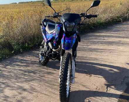 Шанрай XY 250GY-6C, объемом двигателя 0.25 л и пробегом 18 тыс. км за 1000 $, фото 7 на Automoto.ua