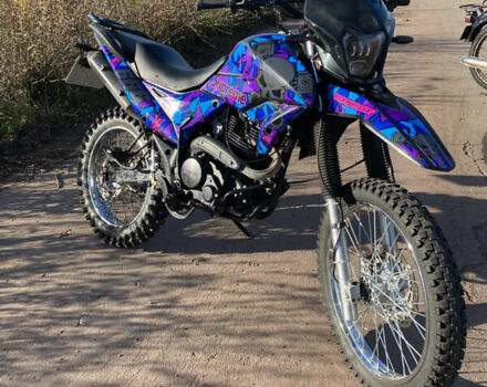 Шанрай XY 250GY-6C, объемом двигателя 0.25 л и пробегом 18 тыс. км за 1000 $, фото 8 на Automoto.ua