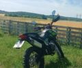 Шанрай XY 250GY-6C, объемом двигателя 0.25 л и пробегом 6 тыс. км за 1031 $, фото 4 на Automoto.ua