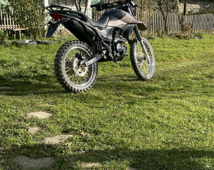 Серый Шанрай XY 250GY-6C, объемом двигателя 0.25 л и пробегом 730 тыс. км за 1300 $, фото 10 на Automoto.ua