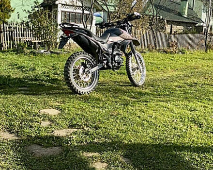 Серый Шанрай XY 250GY-6C, объемом двигателя 0.25 л и пробегом 730 тыс. км за 1300 $, фото 9 на Automoto.ua