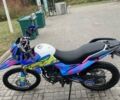 Синій Шанрай XY 250GY-6C, об'ємом двигуна 0.25 л та пробігом 9 тис. км за 2000 $, фото 31 на Automoto.ua