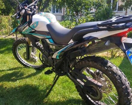 Синій Шанрай XY 250GY-6C, об'ємом двигуна 0.25 л та пробігом 11 тис. км за 1100 $, фото 8 на Automoto.ua