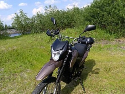 Шанрай XY 250GY-6C Light 2021 у Конотопе на Automoto.ua Коричневий Шанрай XY 250GY-6C Light, об'ємом двигуна 0.23 л та пробігом 12 тис. км за 1206 $, фото 1 на Automoto.ua