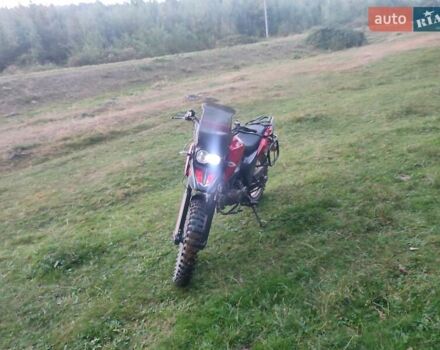 Червоний Шанрай XY 250GY-9A, об'ємом двигуна 0.25 л та пробігом 8 тис. км за 1200 $, фото 4 на Automoto.ua