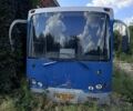 Синий Скиф 5204, объемом двигателя 0 л и пробегом 130 тыс. км за 5500 $, фото 1 на Automoto.ua