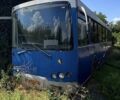 Синий Скиф 5204, объемом двигателя 0 л и пробегом 130 тыс. км за 5500 $, фото 3 на Automoto.ua