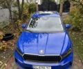 Синій Шкода Інша, об'ємом двигуна 0 л та пробігом 21 тис. км за 24200 $, фото 4 на Automoto.ua