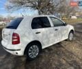 Белый Шкода Фабия, объемом двигателя 1.39 л и пробегом 300 тыс. км за 2700 $, фото 9 на Automoto.ua