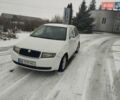 Белый Шкода Фабия, объемом двигателя 1.4 л и пробегом 300 тыс. км за 2499 $, фото 1 на Automoto.ua