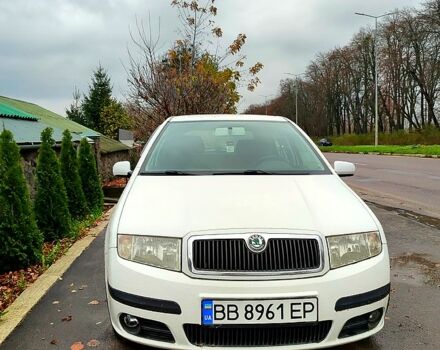 Белый Шкода Фабия, объемом двигателя 1.4 л и пробегом 222 тыс. км за 3300 $, фото 5 на Automoto.ua