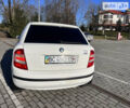 Белый Шкода Фабия, объемом двигателя 1.2 л и пробегом 132 тыс. км за 3500 $, фото 5 на Automoto.ua