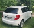 Белый Шкода Фабия, объемом двигателя 1.4 л и пробегом 316 тыс. км за 4350 $, фото 9 на Automoto.ua
