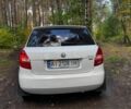 Белый Шкода Фабия, объемом двигателя 1.4 л и пробегом 255 тыс. км за 4300 $, фото 5 на Automoto.ua