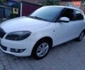 Белый Шкода Фабия, объемом двигателя 1.39 л и пробегом 308 тыс. км за 4600 $, фото 17 на Automoto.ua