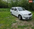 Белый Шкода Фабия, объемом двигателя 1.39 л и пробегом 303 тыс. км за 3500 $, фото 1 на Automoto.ua