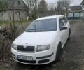 Белый Шкода Фабия, объемом двигателя 1.4 л и пробегом 283 тыс. км за 3600 $, фото 14 на Automoto.ua
