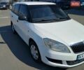 Белый Шкода Фабия, объемом двигателя 1.39 л и пробегом 178 тыс. км за 6200 $, фото 13 на Automoto.ua