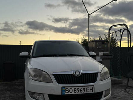 Белый Шкода Фабия, объемом двигателя 1.6 л и пробегом 294 тыс. км за 4700 $, фото 1 на Automoto.ua