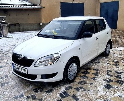 Білий Шкода Фабія, об'ємом двигуна 1.2 л та пробігом 29000 тис. км за 4600 $, фото 1 на Automoto.ua