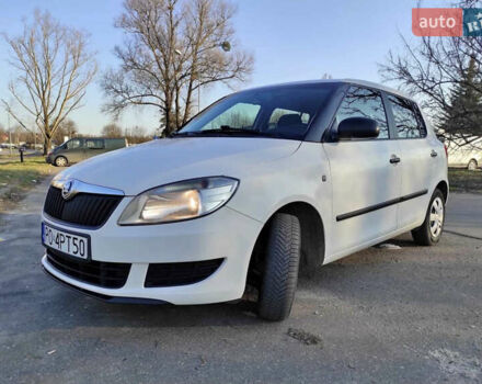 Белый Шкода Фабия, объемом двигателя 1.4 л и пробегом 292 тыс. км за 4800 $, фото 1 на Automoto.ua