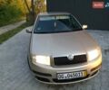 Бежевый Шкода Фабия, объемом двигателя 1.4 л и пробегом 204 тыс. км за 4100 $, фото 27 на Automoto.ua