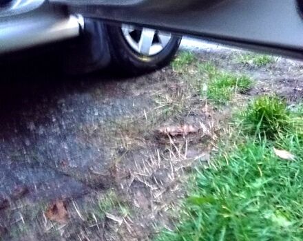 Бежевый Шкода Фабия, объемом двигателя 1.4 л и пробегом 208 тыс. км за 4250 $, фото 2 на Automoto.ua