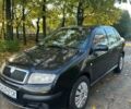 Черный Шкода Фабия, объемом двигателя 1.39 л и пробегом 177 тыс. км за 3600 $, фото 1 на Automoto.ua
