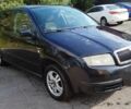 Черный Шкода Фабия, объемом двигателя 1.4 л и пробегом 309 тыс. км за 2900 $, фото 1 на Automoto.ua