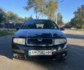 Чорний Шкода Фабія, об'ємом двигуна 1.42 л та пробігом 297 тис. км за 4500 $, фото 1 на Automoto.ua