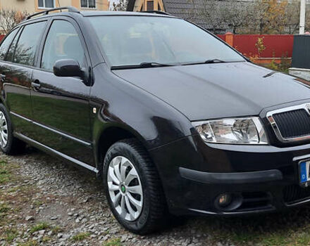 Черный Шкода Фабия, объемом двигателя 1.39 л и пробегом 168 тыс. км за 4600 $, фото 5 на Automoto.ua