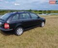 Черный Шкода Фабия, объемом двигателя 1.39 л и пробегом 230 тыс. км за 4300 $, фото 1 на Automoto.ua