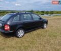 Черный Шкода Фабия, объемом двигателя 1.39 л и пробегом 230 тыс. км за 4300 $, фото 1 на Automoto.ua
