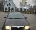 Чорний Шкода Фабія, об'ємом двигуна 1.9 л та пробігом 315 тис. км за 4790 $, фото 2 на Automoto.ua